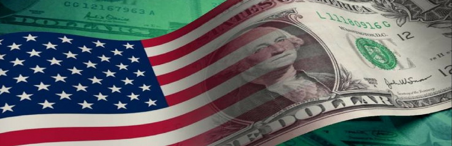 USA Dollar and Flag