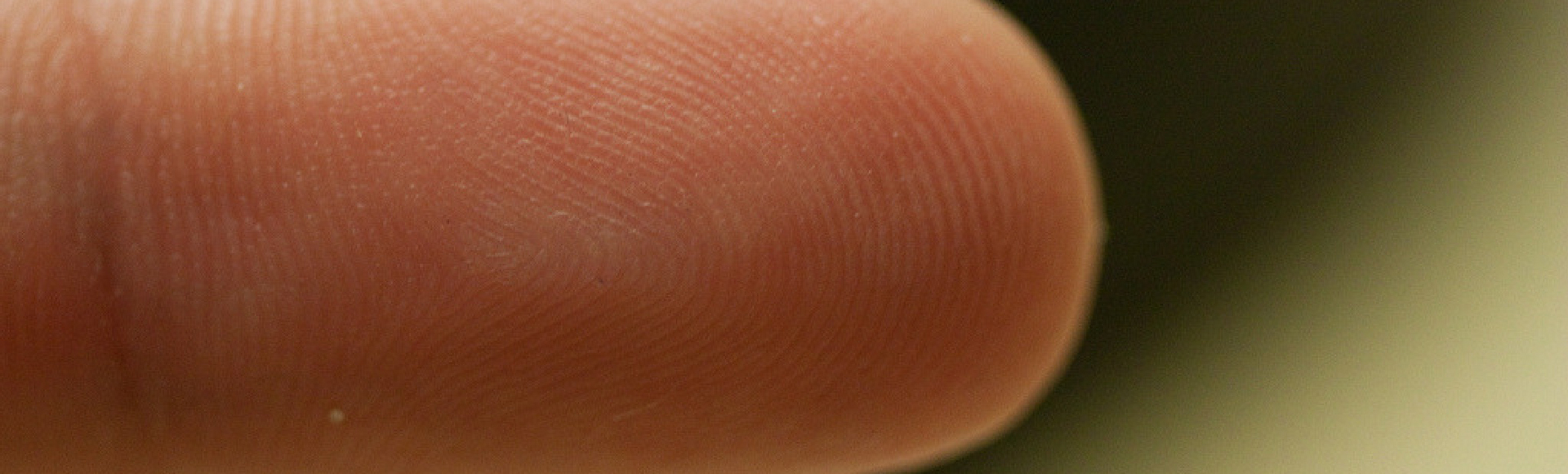 fingerprint