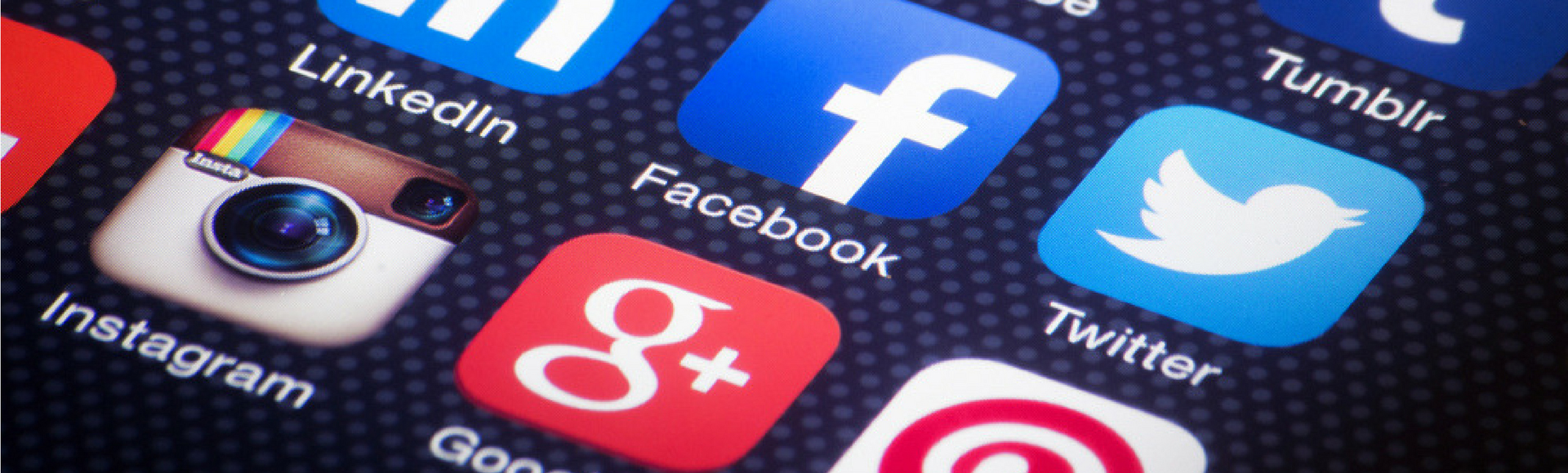 social network