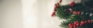 Sprig of holly and mistletoe with gray background and "12 Days of Time Tracking and Payroll Advice" written.
