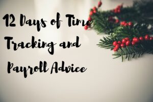 Sprig of holly and mistletoe with gray background and "12 Days of Time Tracking and Payroll Advice" written.