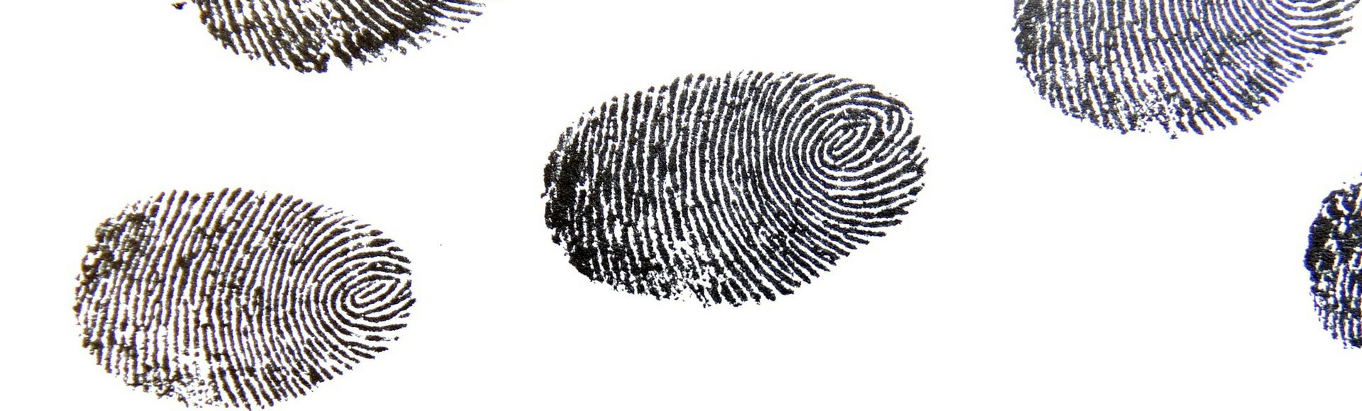 fingerprints