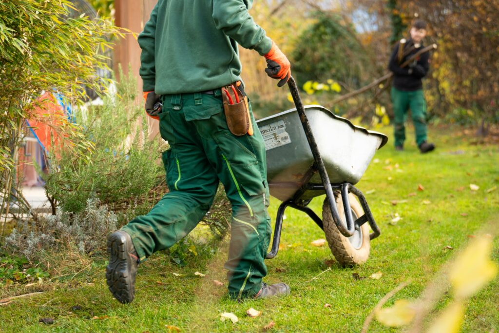 Landscaping business worker pushing wheelbarrow through lawn