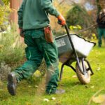 Landscaping business worker pushing wheelbarrow through lawn